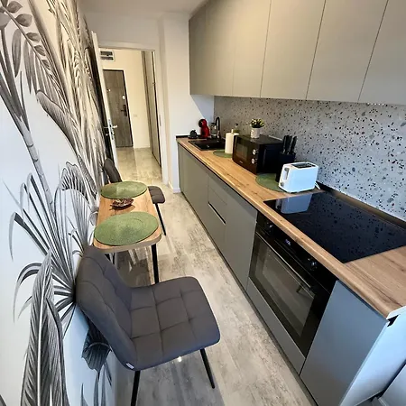 Apartament Vitan Exclusive *
